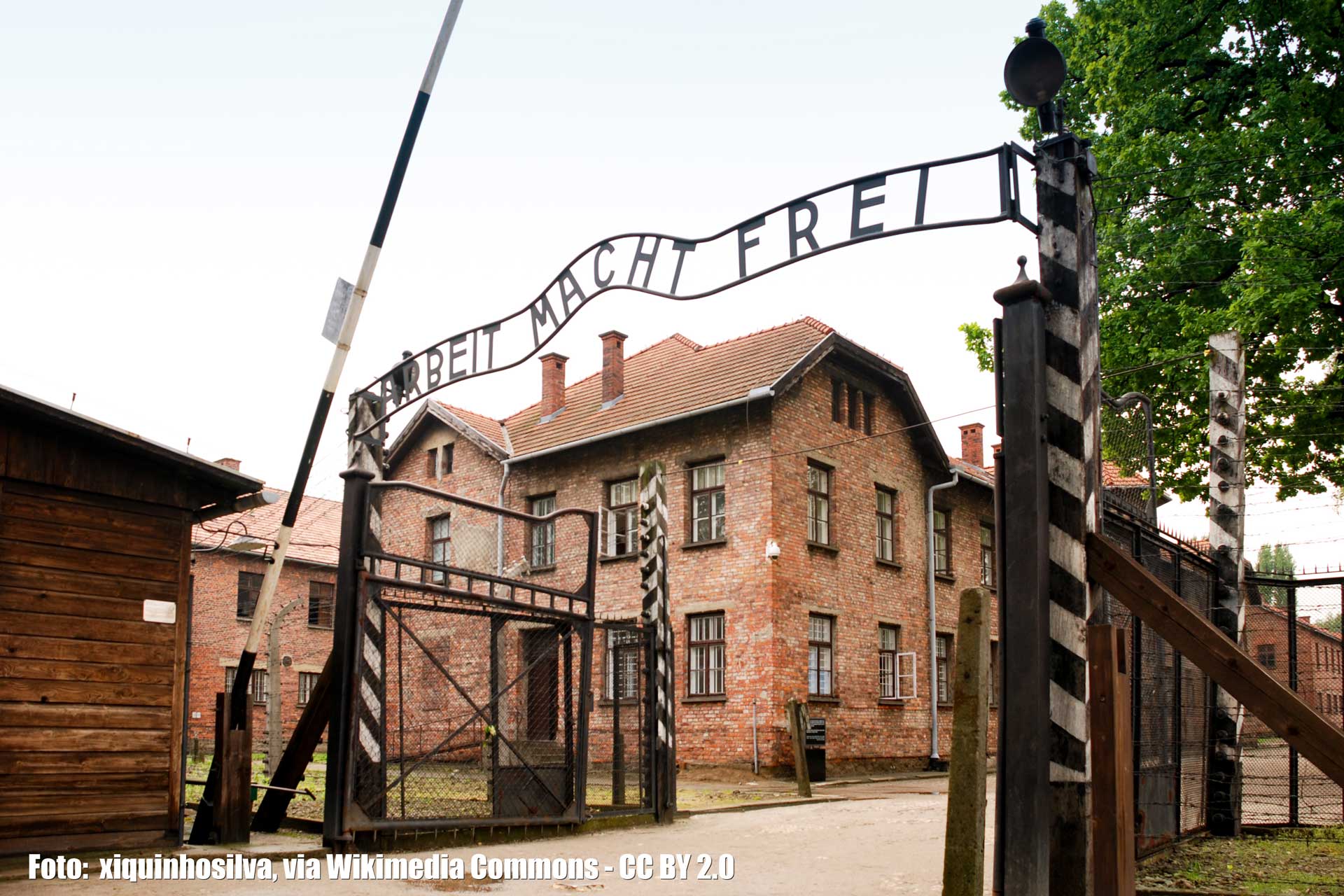 Read more about the article Minde for Auschwitz