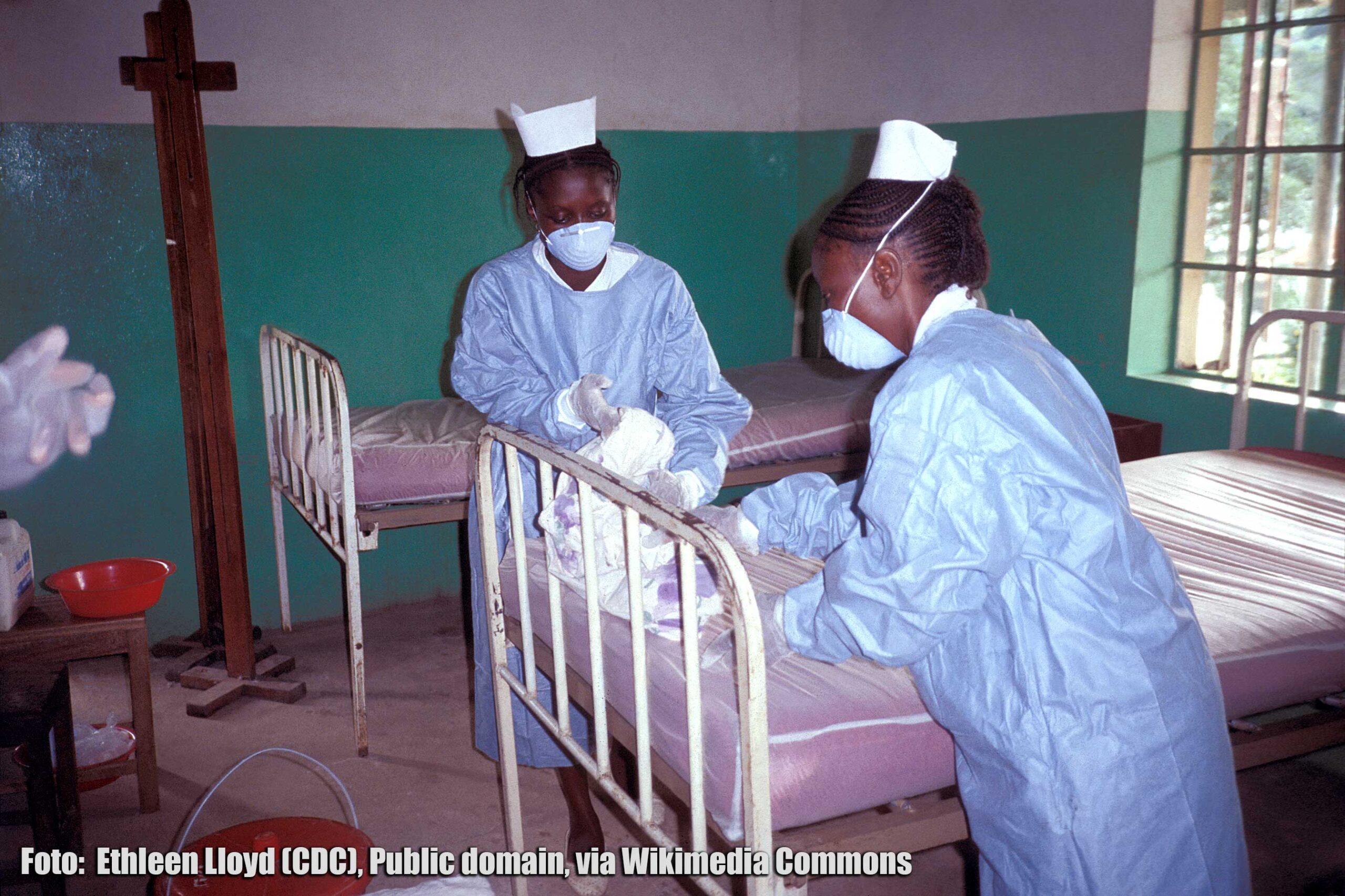 Read more about the article Hvad er ebola?