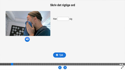 Screenshot af siden med opgave 2