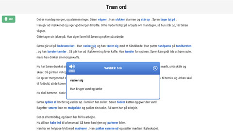 Screenshot af siden med ord