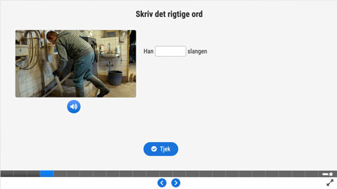 Screenshot af siden med opgave 2