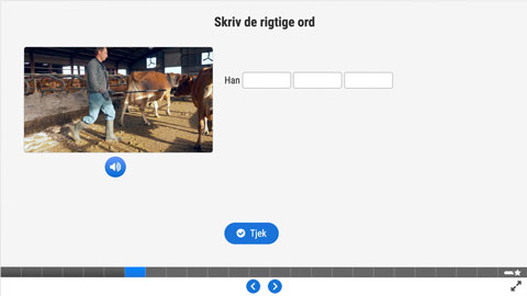 Screenshot af siden med opgave 3