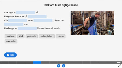 Screenshot af siden med opgave 2