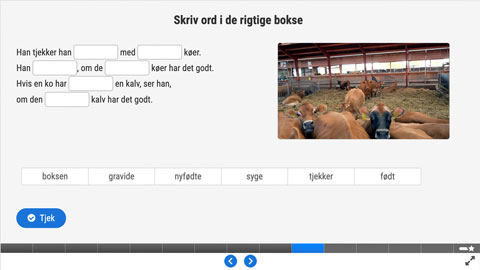 Screenshot af siden med opgave 3