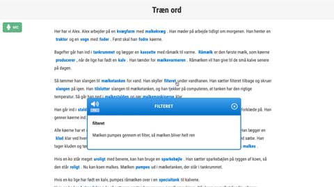 Screenshot af siden med Ord