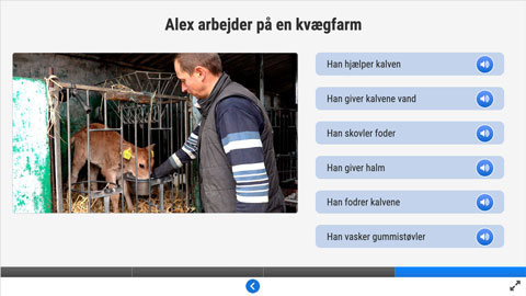 Screenshot af siden med udtale