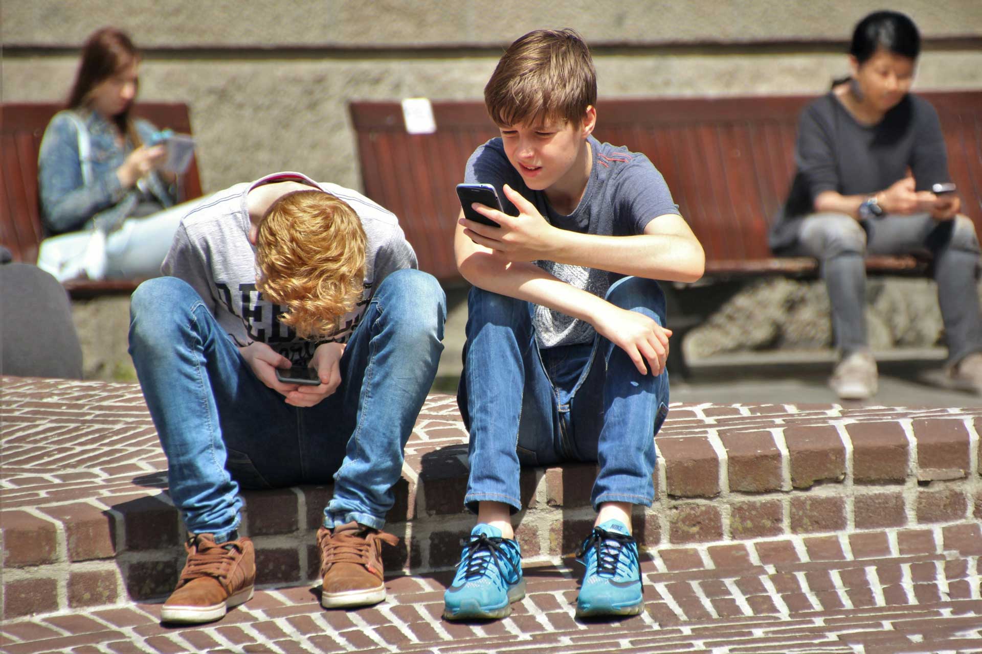 Read more about the article Sociale medier