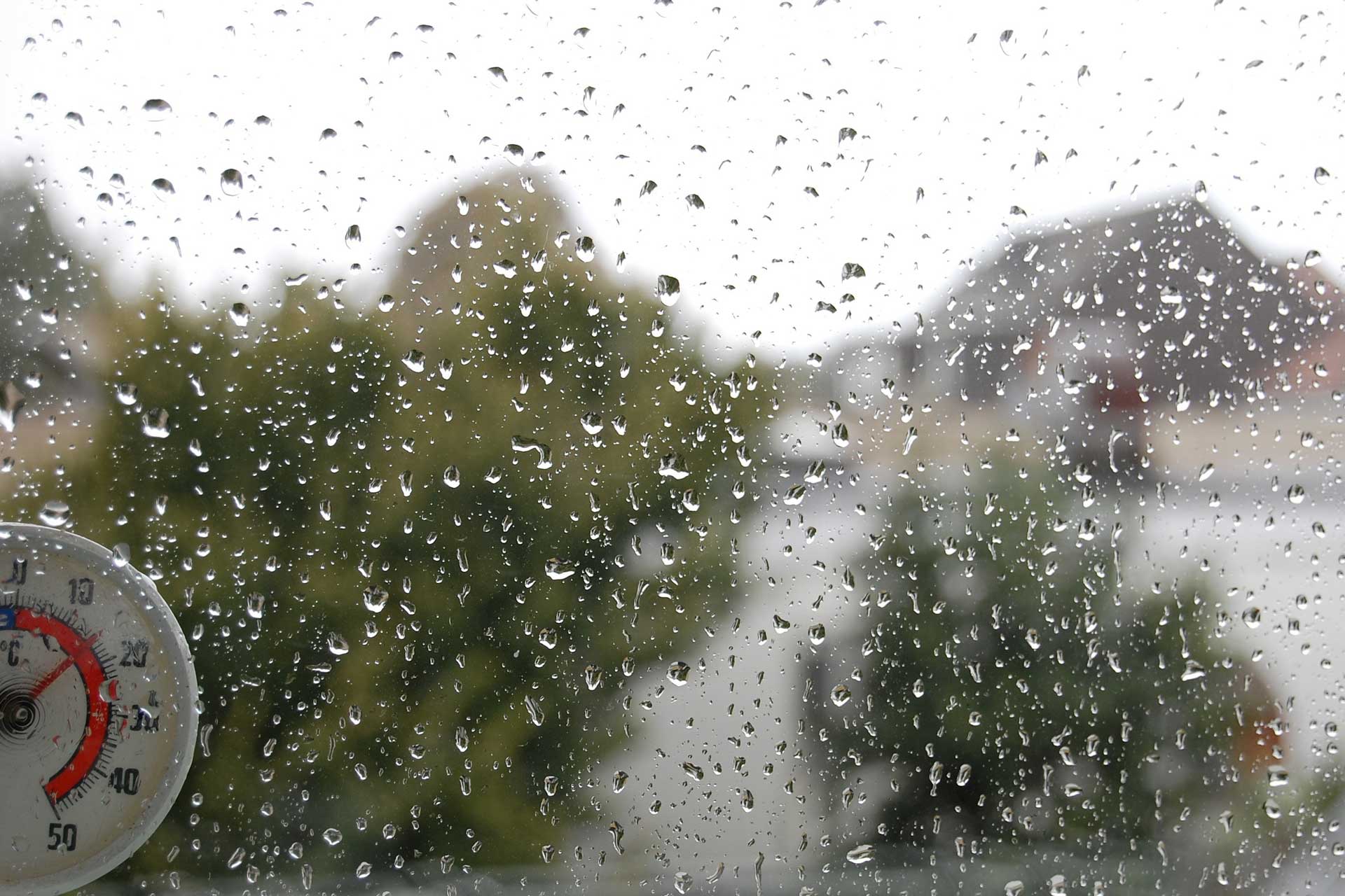 Read more about the article En sommer med regn og blæst