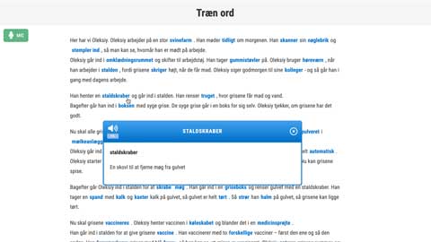 Screenshot af siden med ord